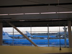 SX02918 Metal birds (KLM airplanes), Schiphol Airport.jpg